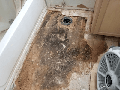 Black Mold in Bathroom