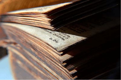 mold on book