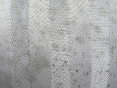 mold on fabric