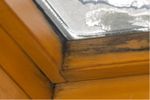 Mold on Wood