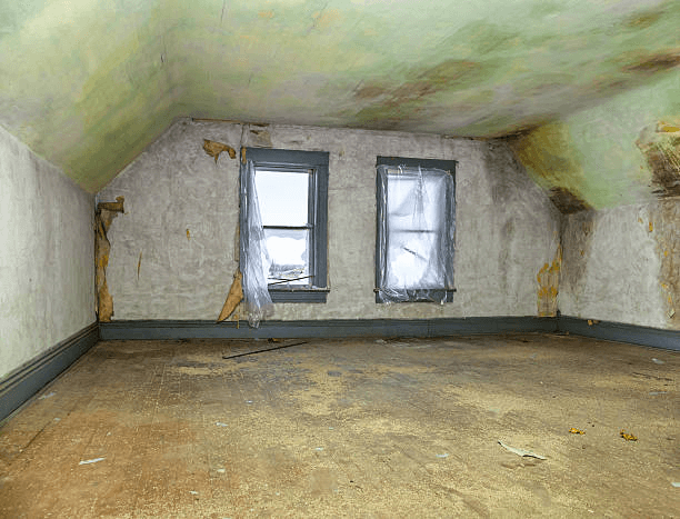 Attic Mold