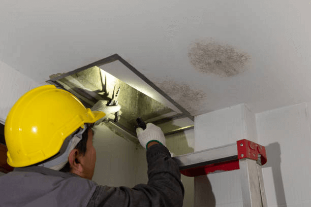 Worker on Attic